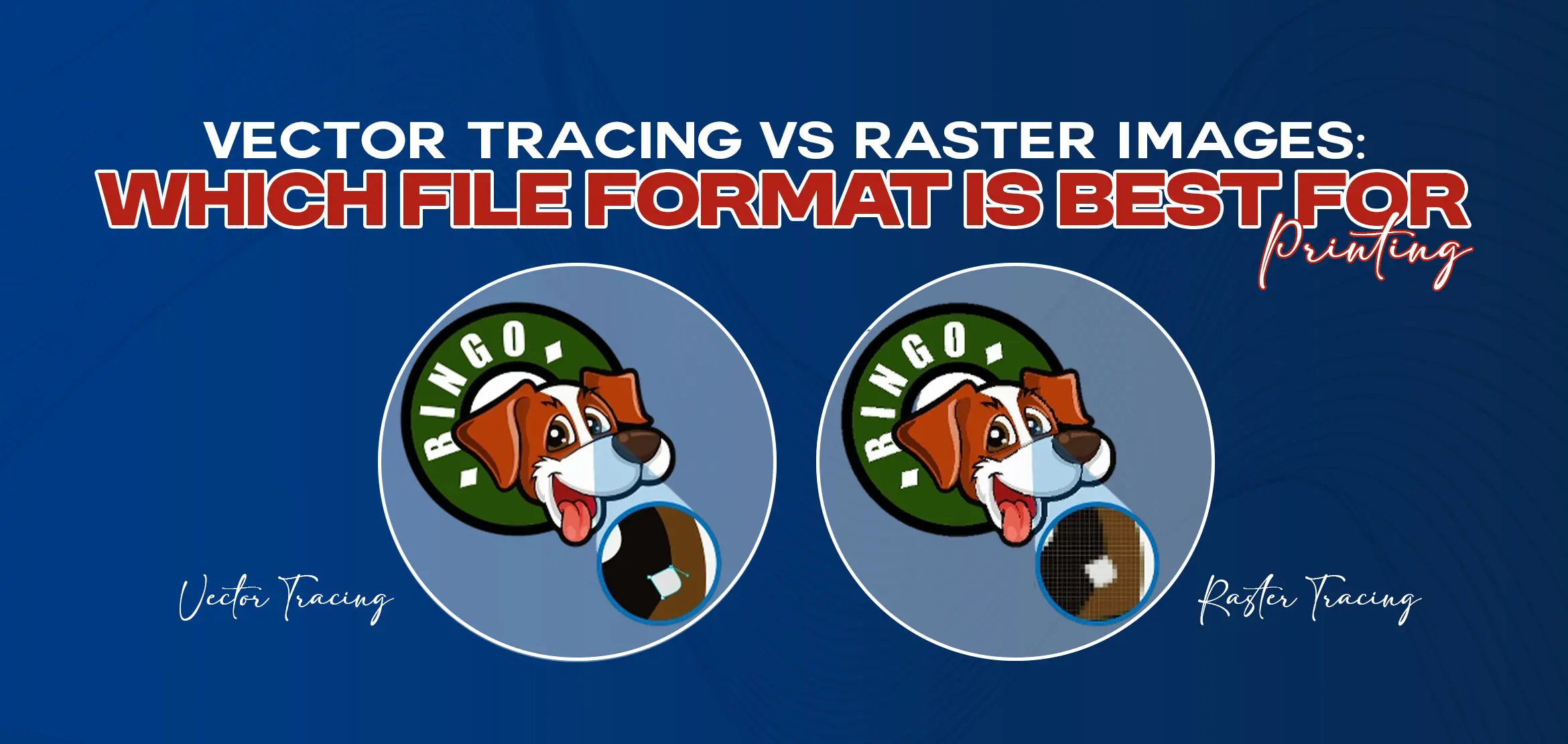 Vector Tracing vs Raster Images | Which File Format is Best for Printing?