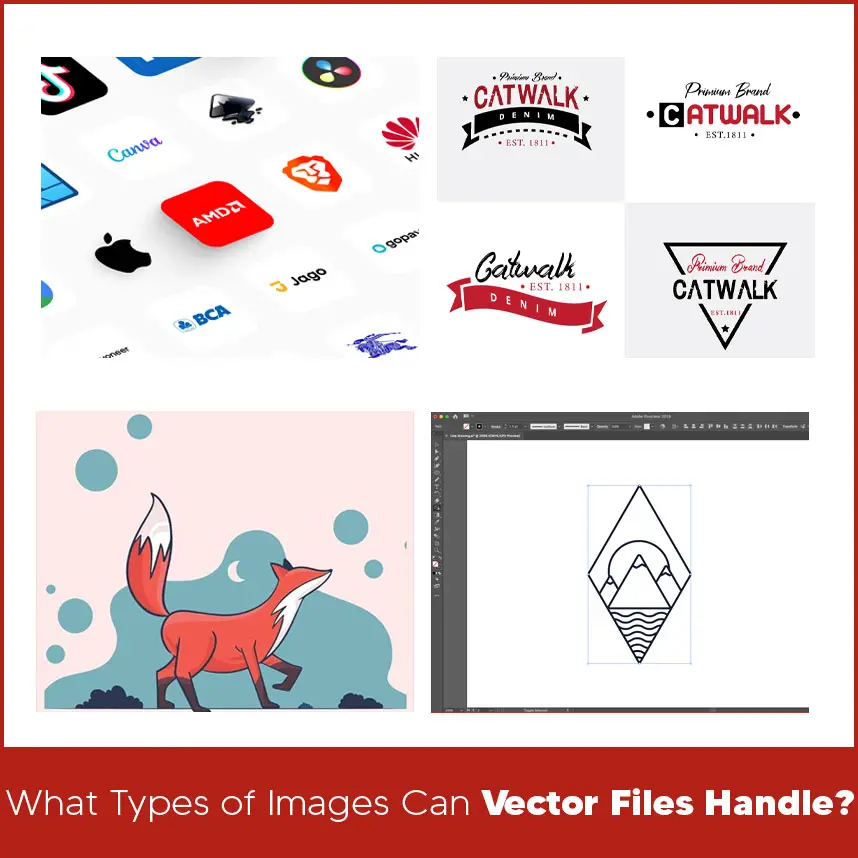 What Types of Images Can Vector Files Handle?
