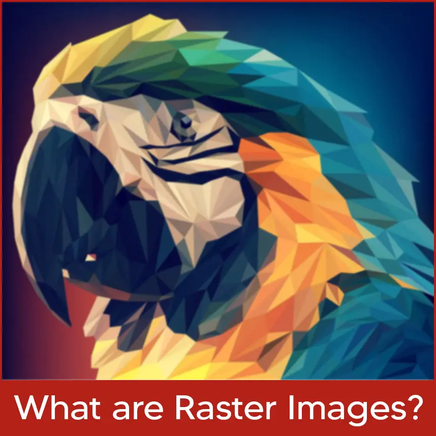 What are Raster Images?
