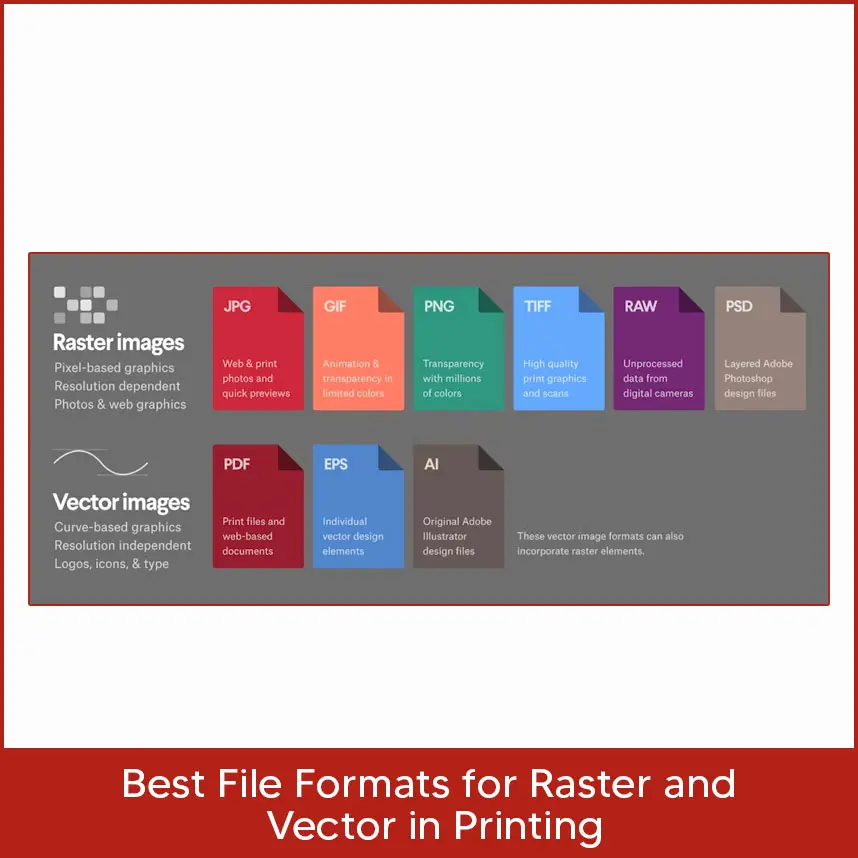 Best File Formats for Raster and Vector in Printing