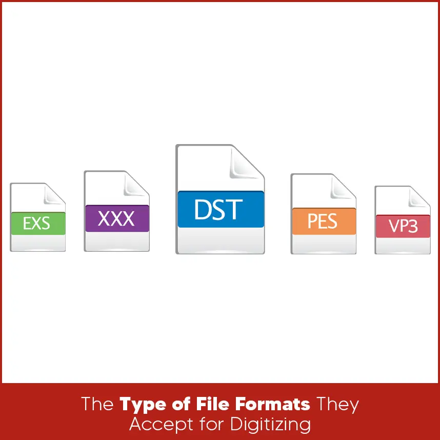 The Type of File Formats They Accept for Digitizing