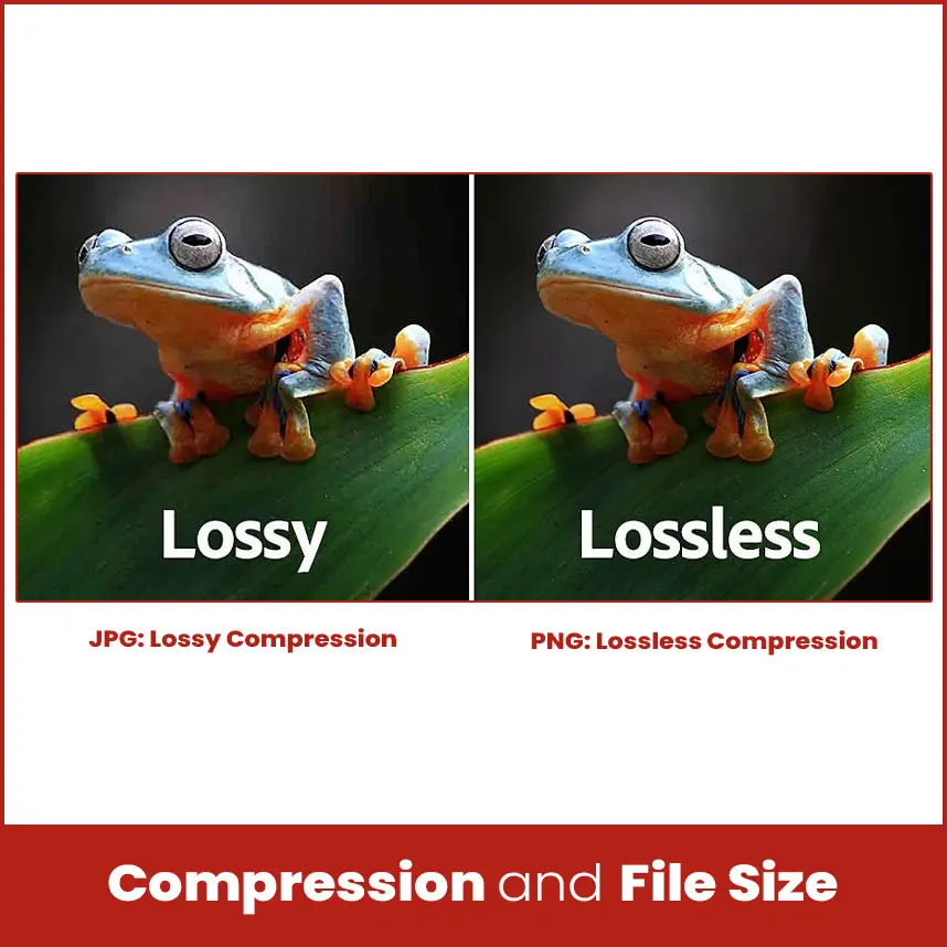 Compression and File Size