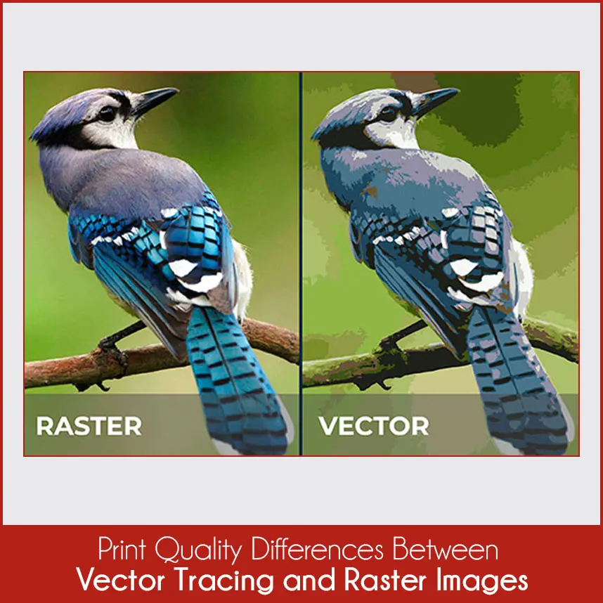 Print Quality Differences Between Vector Tracing and Raster Images