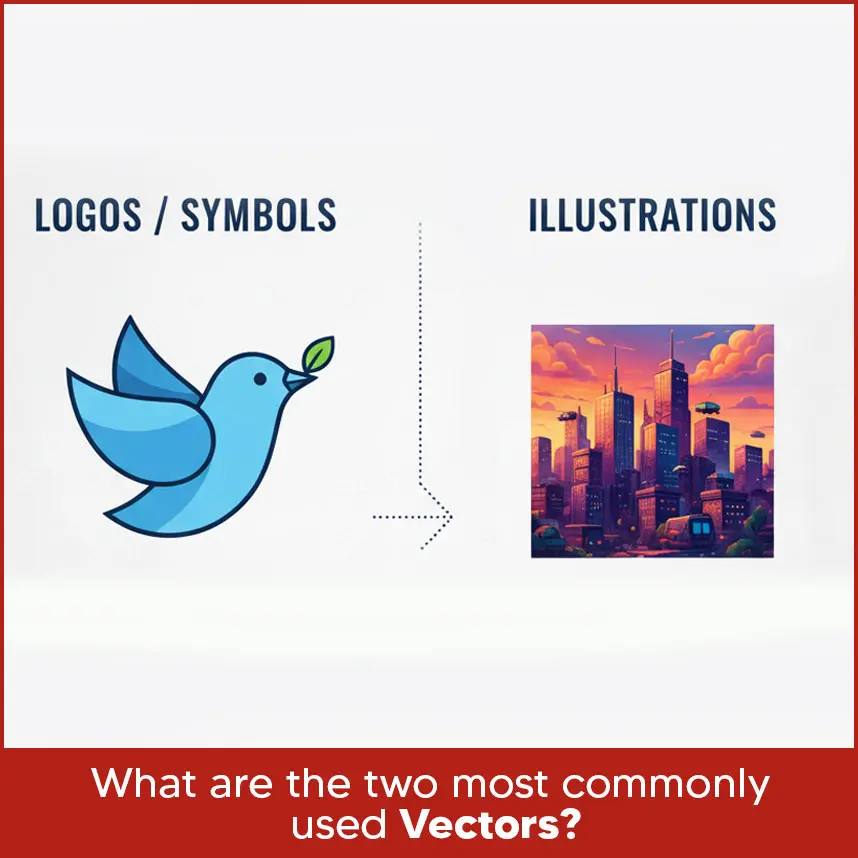 What are the two most commonly used vectors?