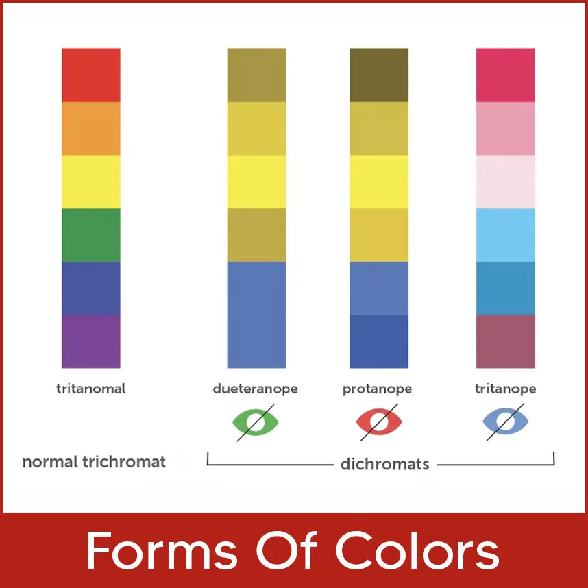 Forms of Colors