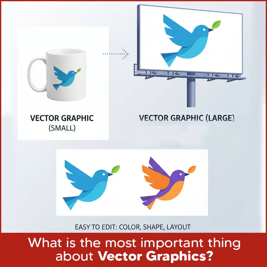 What is the most important thing about vector graphics?