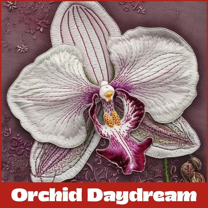 Orchid Daydream