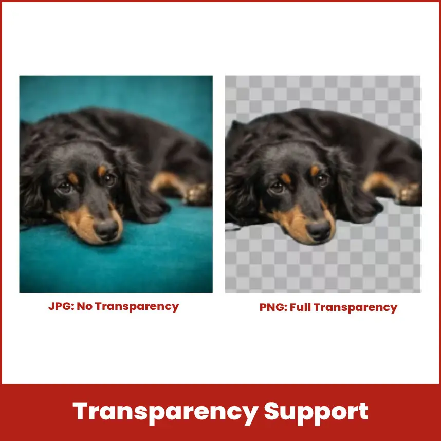 Transparency Support